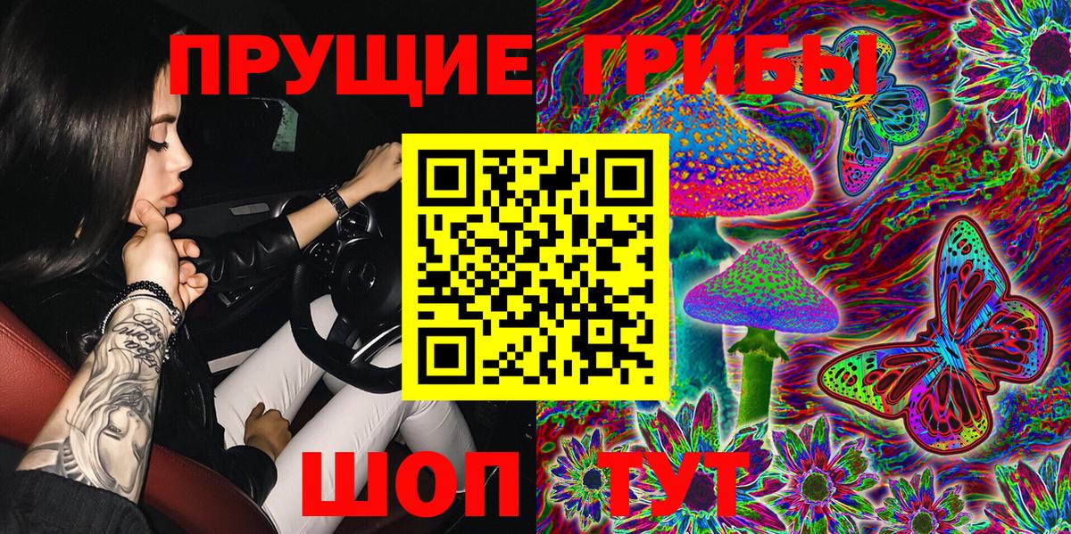 Псилоцибиновые грибы мухоморы Гатчина